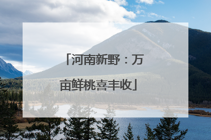 河南新野：万亩鲜桃喜丰收