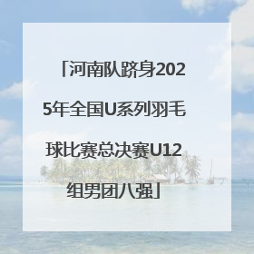 河南队跻身2025年全国U系列羽毛球比赛总决赛U12组男团八强