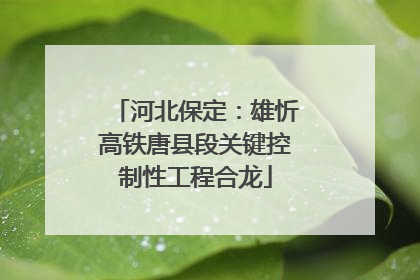 河北保定：雄忻高铁唐县段关键控制性工程合龙