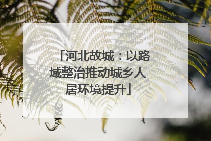 河北故城：以路域整治推动城乡人居环境提升