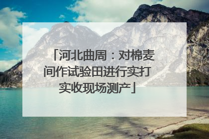 河北曲周：对棉麦间作试验田进行实打实收现场测产