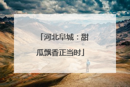 河北阜城：甜瓜飘香正当时