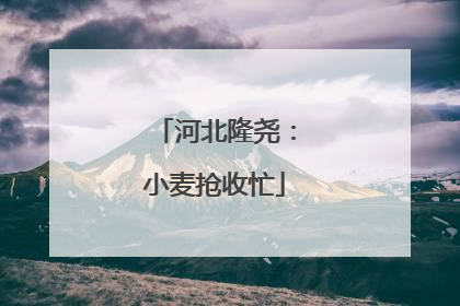 河北隆尧：小麦抢收忙
