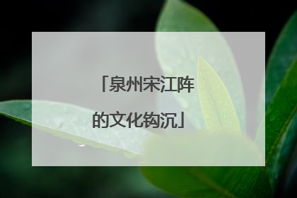 泉州宋江阵的文化钩沉
