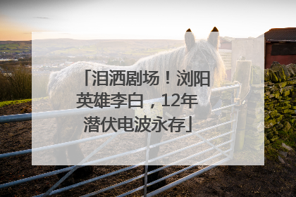 泪洒剧场！浏阳英雄李白，12年潜伏电波永存