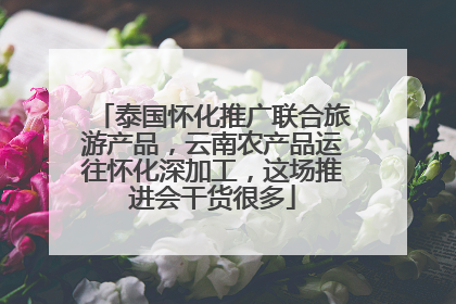 泰国怀化推广联合旅游产品，云南农产品运往怀化深加工，这场推进会干货很多