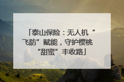 泰山保险：无人机“飞防”赋能，守护樱桃“甜蜜”丰收路