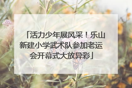 活力少年展风采！乐山新建小学武术队参加老运会开幕式大放异彩