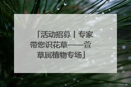 活动招募丨专家带您识花草——萱草属植物专场