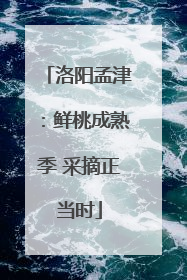 洛阳孟津：鲜桃成熟季 采摘正当时
