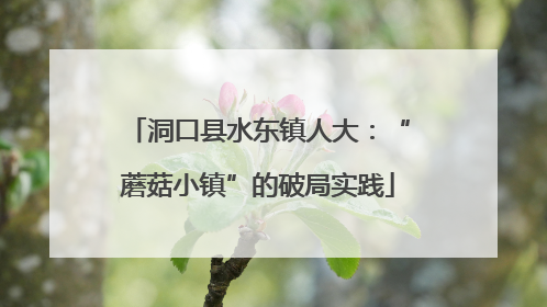 洞口县水东镇人大：“蘑菇小镇”的破局实践