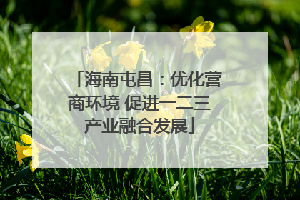 海南屯昌：优化营商环境 促进一二三产业融合发展