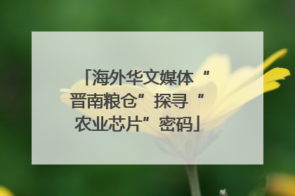 海外华文媒体“晋南粮仓”探寻“农业芯片”密码