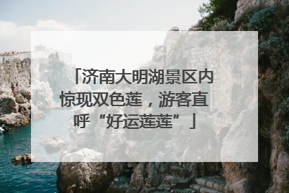 济南大明湖景区内惊现双色莲，游客直呼“好运莲莲”