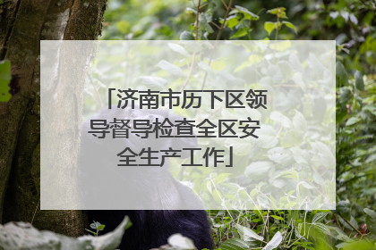济南市历下区领导督导检查全区安全生产工作