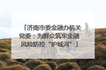 济南市委金融办机关党委：为群众筑牢金融风险防控“护城河”