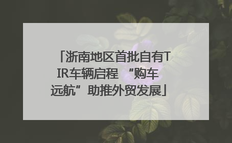 浙南地区首批自有TIR车辆启程 “购车远航”助推外贸发展
