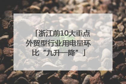 浙江前10大重点外贸型行业用电量环比“九升一降”