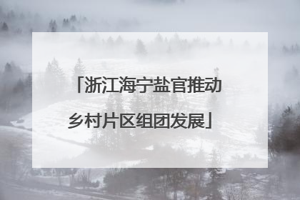 浙江海宁盐官推动乡村片区组团发展