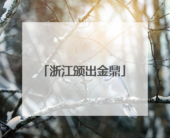 浙江颁出金鼎