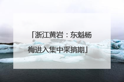 浙江黄岩：东魁杨梅进入集中采摘期