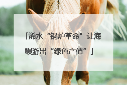 浠水“锅炉革命”让海鳗游出“绿色产值”