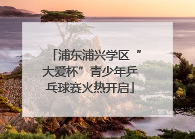 浦东浦兴学区“大爱杯”青少年乒乓球赛火热开启