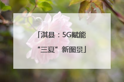淇县：5G赋能“三夏”新图景