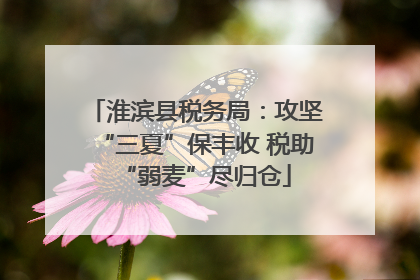 淮滨县税务局：攻坚“三夏”保丰收 税助“弱麦”尽归仓