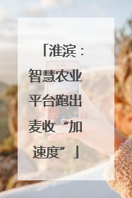 淮滨：智慧农业平台跑出麦收“加速度”