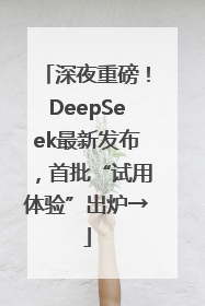 深夜重磅！DeepSeek最新发布，首批“试用体验”出炉→