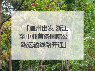 温州出发 浙江至中亚首条国际公路运输线路开通