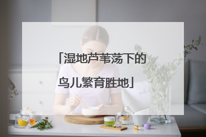 湿地芦苇荡下的鸟儿繁育胜地