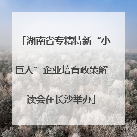 湖南省专精特新“小巨人”企业培育政策解读会在长沙举办