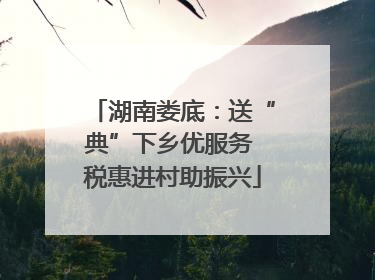 湖南娄底：送“典”下乡优服务 税惠进村助振兴