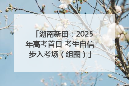 湖南新田：2025年高考首日 考生自信步入考场（组图）