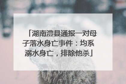 湖南澧县通报一对母子落水身亡事件：均系溺水身亡，排除他杀