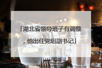 湖北省领导班子有调整，他出任党组副书记