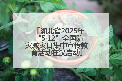 湖北省2025年“5·12”全国防灾减灾日集中宣传教育活动在汉启动