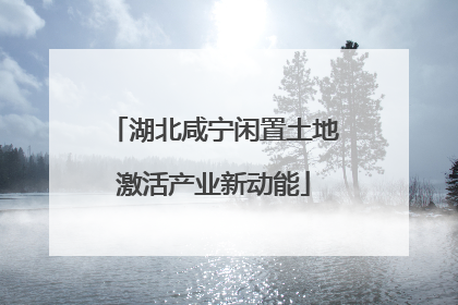 湖北咸宁闲置土地激活产业新动能