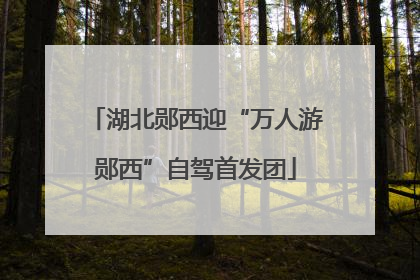湖北郧西迎“万人游郧西”自驾首发团