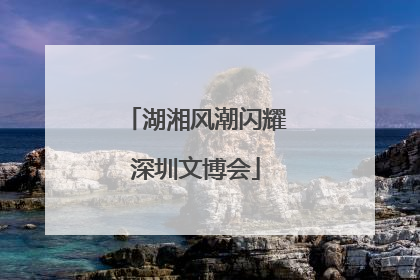 湖湘风潮闪耀深圳文博会