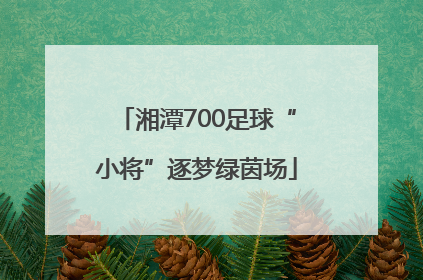 湘潭700足球“小将”逐梦绿茵场