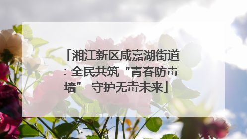 湘江新区咸嘉湖街道：全民共筑“青春防毒墙” 守护无毒未来