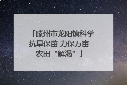 滕州市龙阳镇科学抗旱保苗 力保万亩农田“解渴”