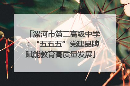 漯河市第二高级中学：“五五五”党建品牌赋能教育高质量发展