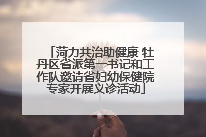 菏力共治助健康 牡丹区省派第一书记和工作队邀请省妇幼保健院专家开展义诊活动