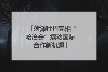 菏泽牡丹亮相“哈洽会”撬动国际合作新机遇