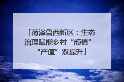 菏泽鲁西新区：生态治理赋能乡村“颜值”“产值”双提升
