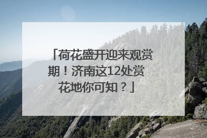 荷花盛开迎来观赏期！济南这12处赏花地你可知？